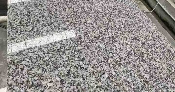 黑河 芙蓉白光面