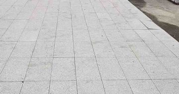 黑河芝麻白地铺案例